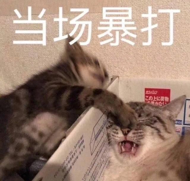  『把握』幽默笑话：其实想冒充一个专业的艺术老师很简单，把握三个诀窍