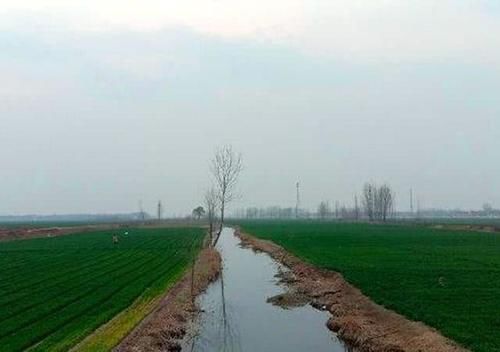  米面|太庆幸过年回老家了，家里有米面，地里有蔬菜，还是农村老