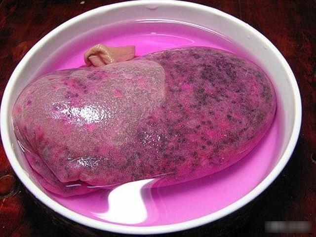 花盆中■好吃的火龙果,一块果肉,1周变别致盆栽,2年结果1大筐