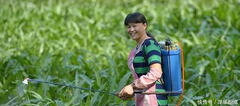  利润■承包30亩地，租金1000元/亩，一年利润是多少？农业补贴归