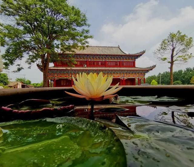  「日子」在湖北，想念寺院的这些日子，我们一起“云赏”春景