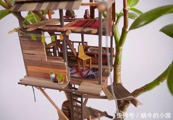盆栽|她在盆栽上放了这个,家里瞬间活了起来!