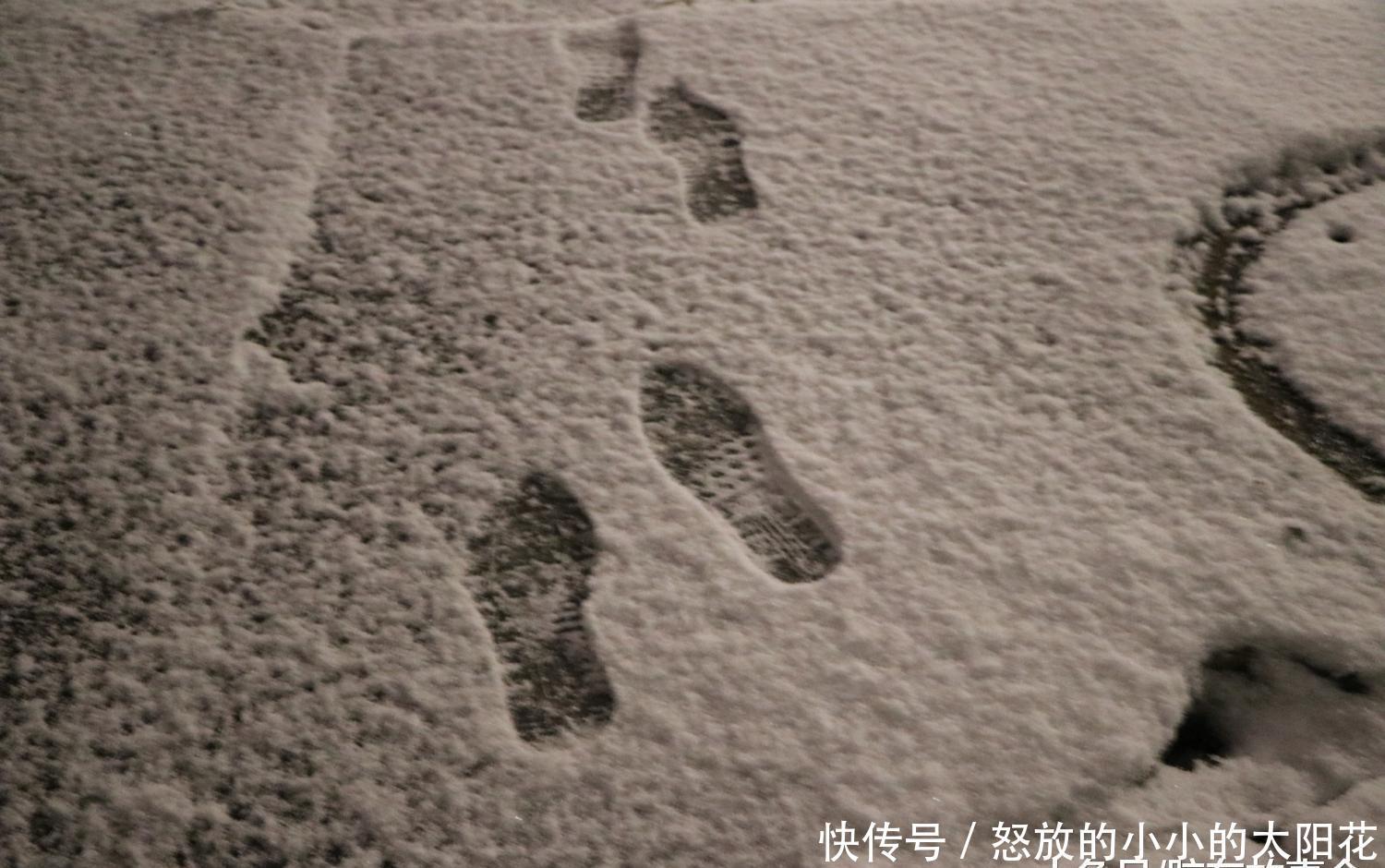 组图： 山东“雪窝子”烟台的夜间雪景, 看看是啥样