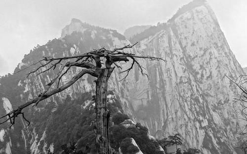 “奇险天下第一山”说的是五岳中的哪座山？果真是天下第一险