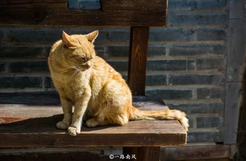 川菜@中国“最懒”的两座城市,人们喜爱享受生活,连动物都天天睡懒觉