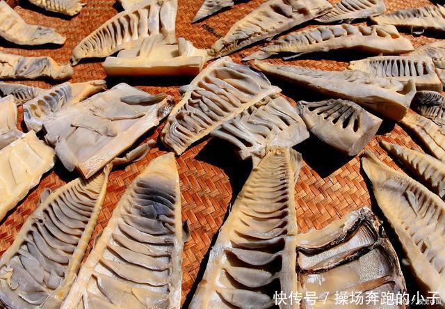 「尿酸」藏在身边的天然“玻尿酸”,女人可劲吃,抚平皱纹,比敷面膜管用