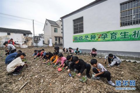 农闲时节开启美丽乡村“嘉年华”