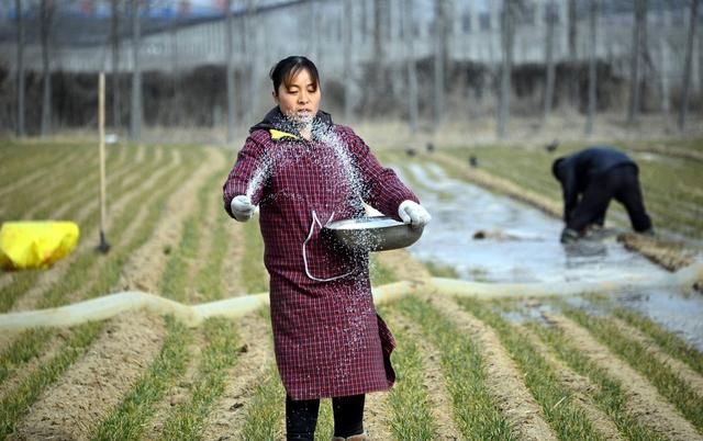 立春后，下一个节气何时到来，2月频繁雨雪天会出现“倒春寒”？