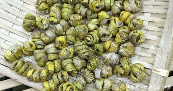  石斛|这野草名叫石斛，生长在石缝上，过去农民不重视，如今一株