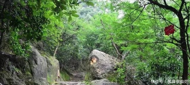 t01dfde86e17c1b8226.jpg?size=640x288