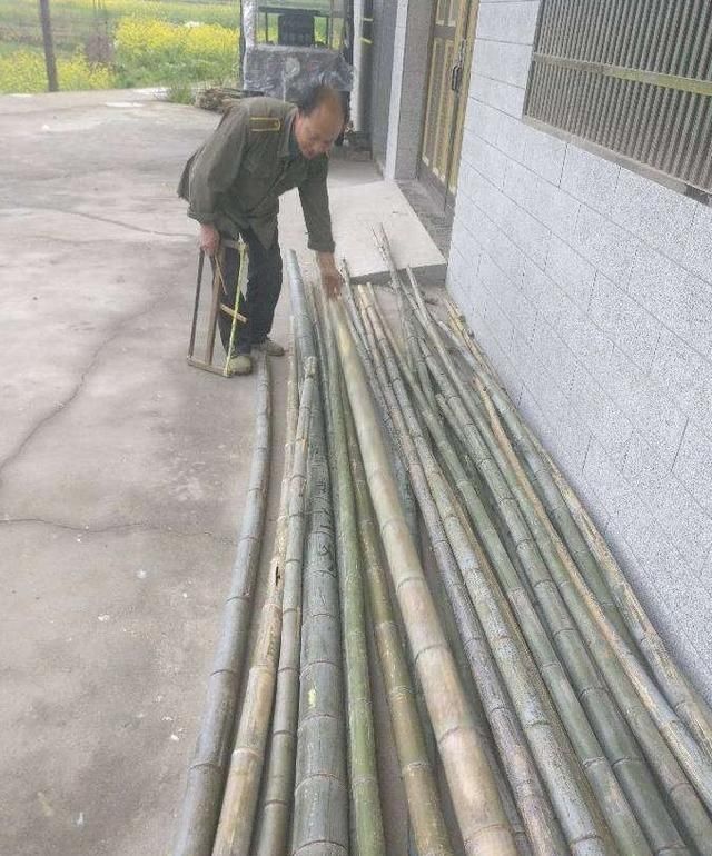 农村父亲硬要为我做一套“竹沙发”，完工后我愣住了!谁见过?