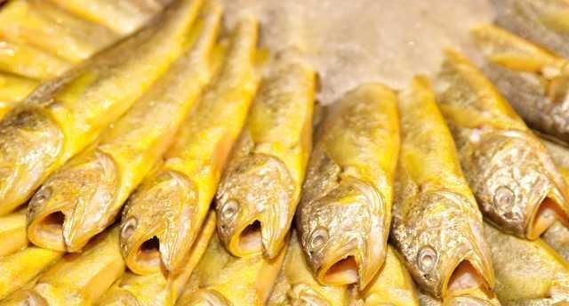  「小世界」大湾区小世界：猪肉已经吃不起？来吃开渔后的海鲜吧