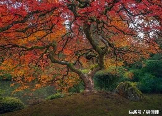 世界上最奇葩的8张照片，不要怀疑你的眼睛，真的没有PS !