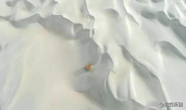 大山 沙漠 湖泊 金胡杨是大自然最完美的构图