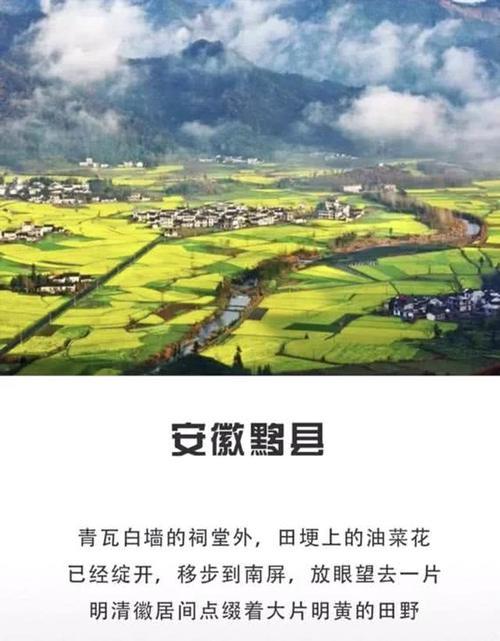 春天看油菜花好去处，错过了就要再等一年！