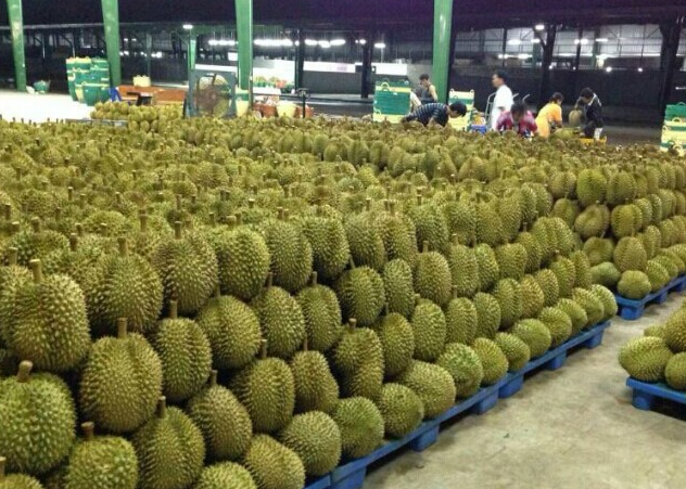 榴莲“外销”成困难，商贩不反思还埋怨中国游客？网友：拒绝背锅