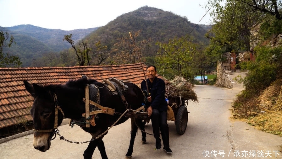 河南一个与世隔绝六百年的明朝古村，当地人柴火烧饭，骑驴车出行