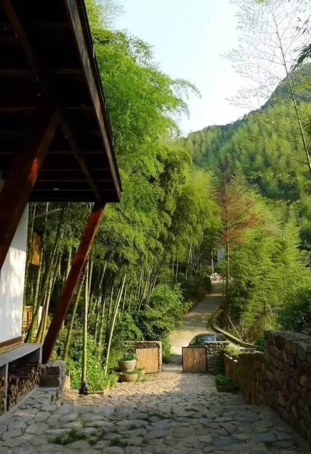  小院@理想中的乡村小院