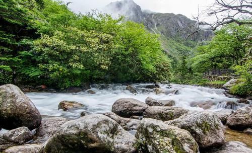 四川康定有个杜鹃峡谷，水美不输九寨沟，云雾升腾似仙境