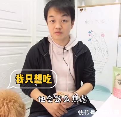  『边牧』二哈变边牧？可强烈刺激狗狗服从性的【冻干肉】是什么来头？