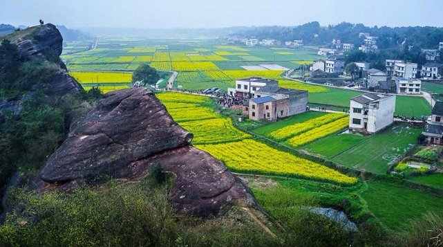  [农民合作社]正在公示！湖南这14地要建国家级农业产业强镇了，快看有你老家吗