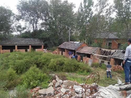  良心@了解农村养殖场标准，做一个有良心 正规的养殖者！