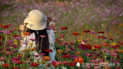 『小黑』出门春游要小心，谨防这种小黑虫，或可夺命
