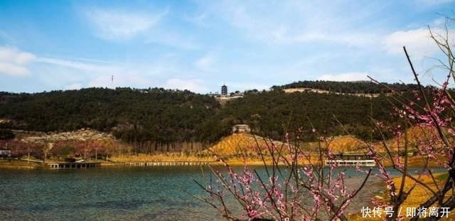 国内最干净城市,乱扔垃圾就罚钱100,干净程度堪比日本