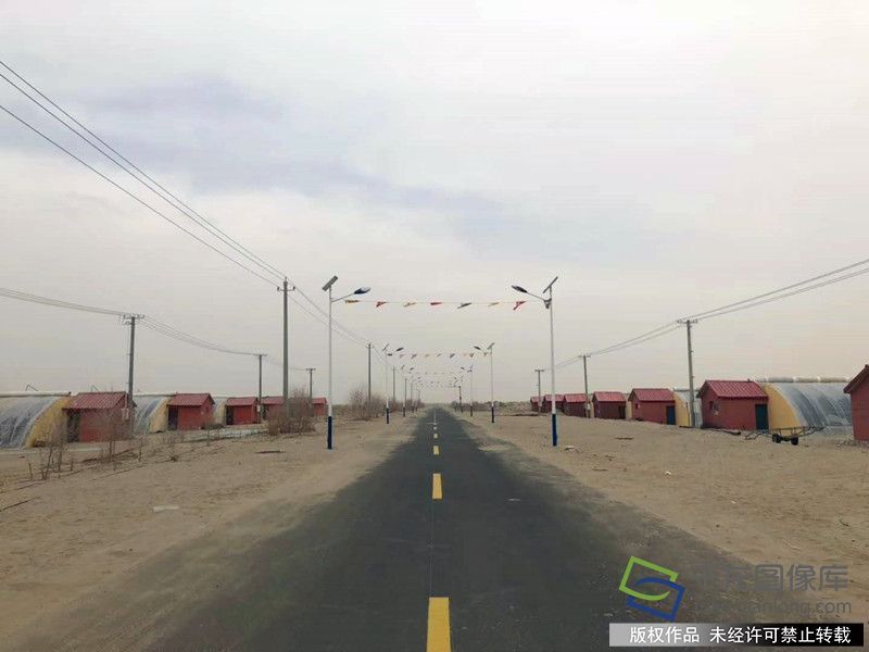 来自首都的支援合作|北京平谷大桃“远嫁”新疆和田