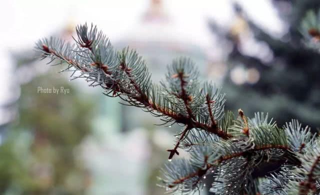 仅剩2个月！这个神秘古国免签即将结束！