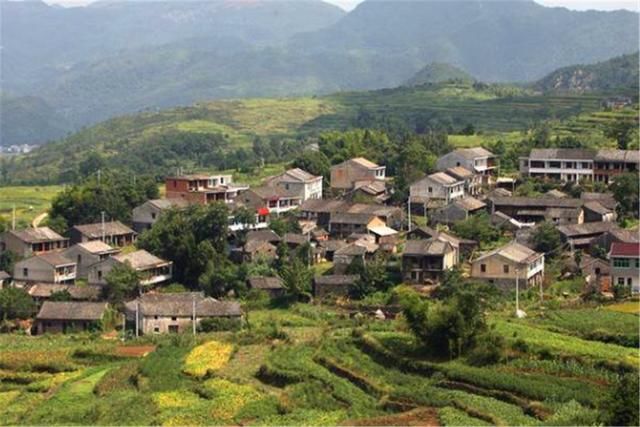 农村俗语：“二月没九，饿死猪狗”，啥意思？今年二月有没有九？