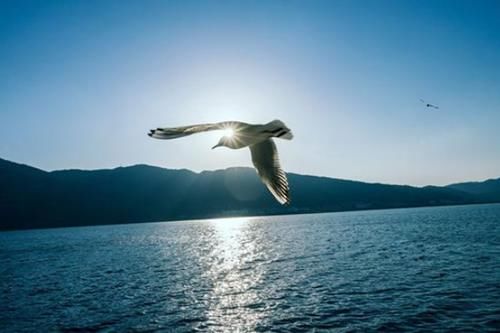 国内这3个非常适合中老年人旅游的地方,您去过吗?