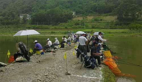  『钓鱼』钓鱼的小药，让人恨得牙痒，但是又不得不用，那么该怎么使用呢