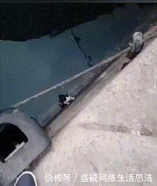  抓紧■猫咪掉水沟，好心路人用绳子救起，猫我会好好抓紧的，你别放手