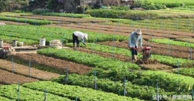  提前■12月起，农村又有3项硬性费用，金额真不少，农民朋友需提