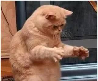  『海拔最』重庆地理之“最”，这些地方你去过吗？