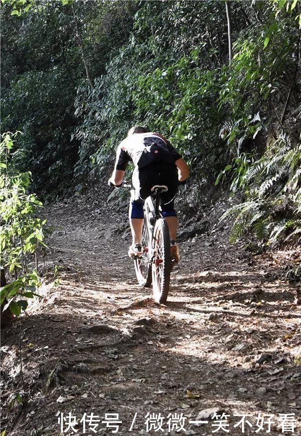 岳麓山“长出”拦路梅花桩，挡不住骑行爱好者