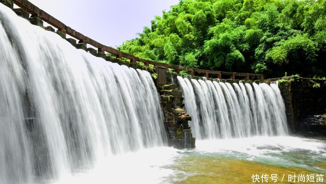 中国“最壮观”的竹林在四川!竹子达到400种?是卧虎藏龙取景地