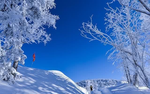 东北风情，尽在雪乡！真是人间仙境