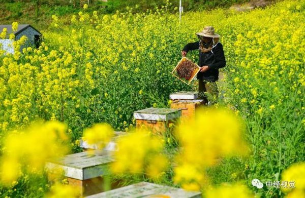  「花儿」你和花儿，一样美！