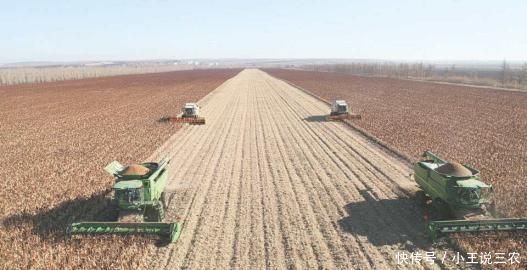  [农民]2019年农村土地退出新政策，一亩地补5万，农民：20万可以