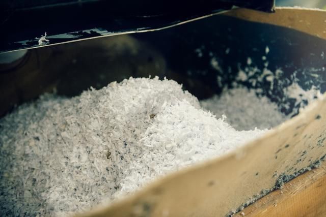 『推出』快时尚启动环保革命,H&M将首次推出可持续面料新品