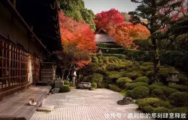 庭院@8个日式庭院景观设计,给心情放个假,在里面品茶冥想,感受佛禅文化