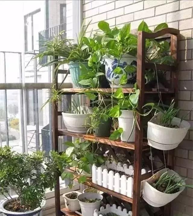  #花架#原来阳台还能这样种花, 一看就像个花园, 太漂亮了!
