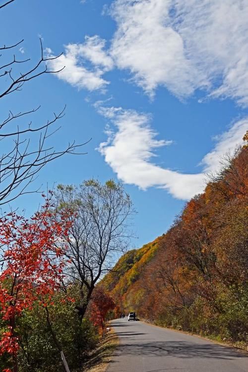 自驾十月最火最红的赏秋线路，本溪枫叶大道，洋湖沟免费更精彩