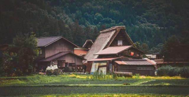 三分文艺,七分清新的国度,走进真实的霓虹国