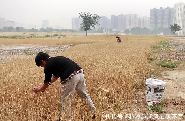  电费■你叫我拿什么去种地？不打工连电费都交不起，更别说子女