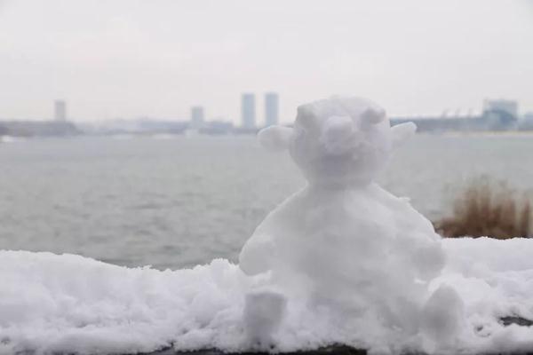 雪后的南京真美！