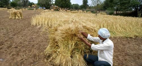  「大国」同样是人口大国，为何印度向全球出口粮食，中国却满世界进口粮食