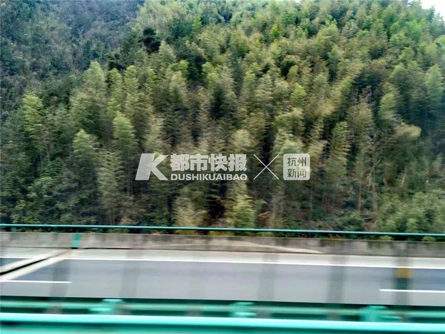 人肉亲测：1个多小时高铁到黄山北，大巴再到黄山景区，1小时14分